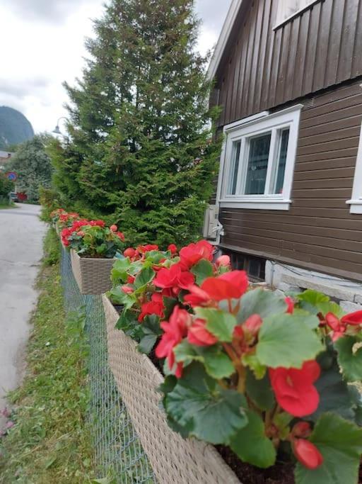 Appartement Old Town House à Rjukan Extérieur photo